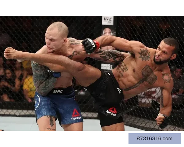 UFC凯恩对决桑托斯重塑重量级格局的巅峰之战解析与历史意义前瞻 UFC凯恩对决桑托斯重塑重量级格局的巅峰之战解析与历史意义前瞻