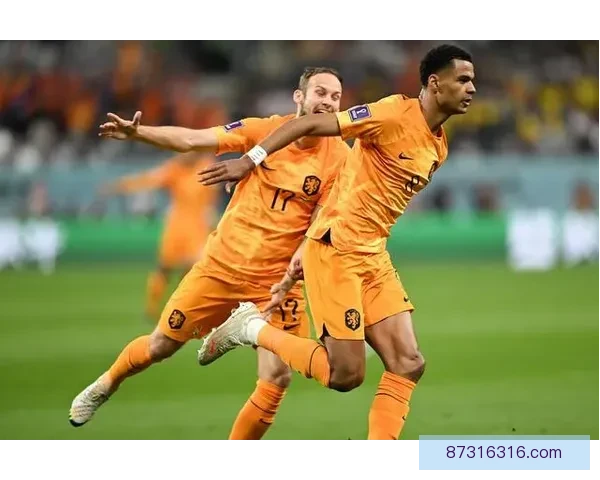 2014世界杯巴西对阵荷兰之战重塑桑巴荣耀与橙衣复仇之夜