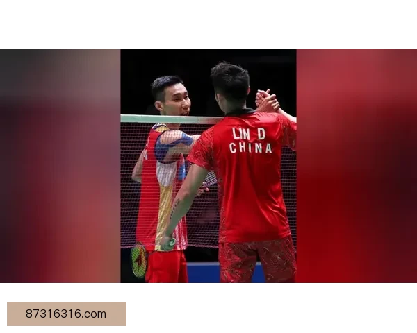 伦敦奥运羽坛巅峰对决林丹李宗伟宿命之战再写传奇世界瞩目历史瞬间