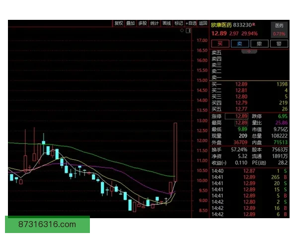 付高峰与方便巅峰对决解析实力背景恩怨与胜负走向预测全面观察 付高峰与方便巅峰对决解析实力背景恩怨与胜负走向预测全面观察